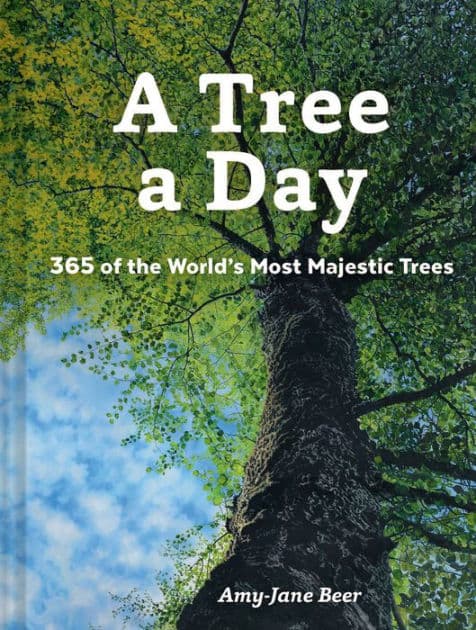 A Tree a Day by Amy-Jane Beer