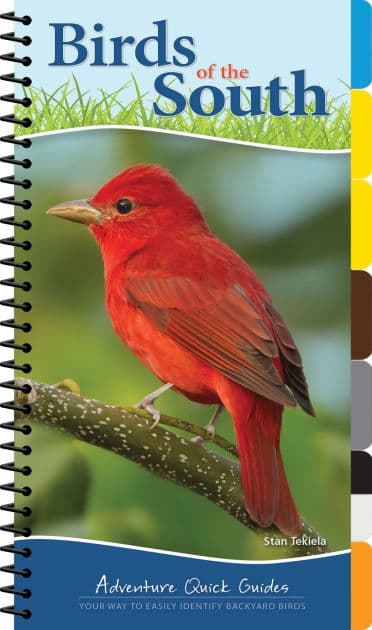 Birds of the South: Your Way to Easily Identify Backyard Birds by Stan Tekiela