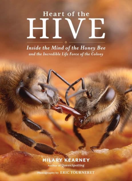 Heart of the Hive: Inside the Mind of the Honey Bee and the Incredible Life Force of the Colony by Hilary Kearney