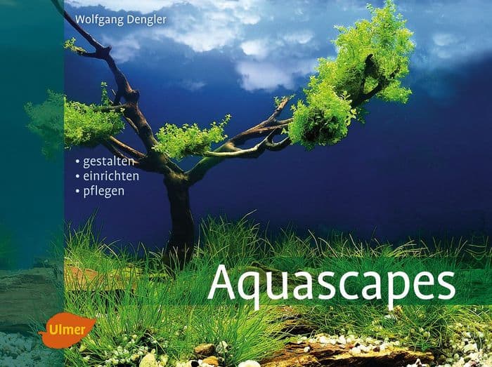 Aquascapes: Gestalten, einrichten, pflegen by Wolfgang Dengler