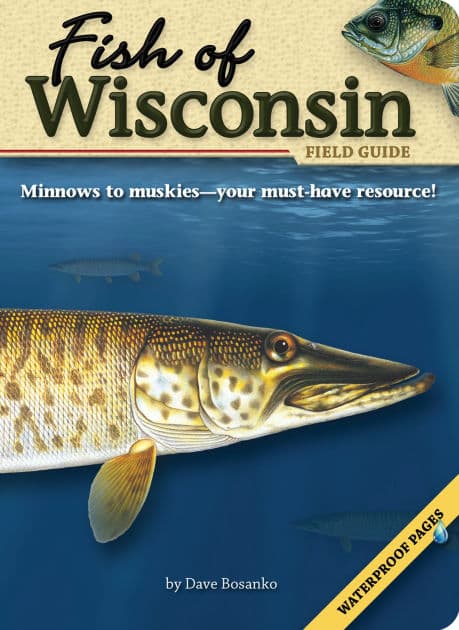 Fish of Wisconsin Field Guide by Dave Bosanko