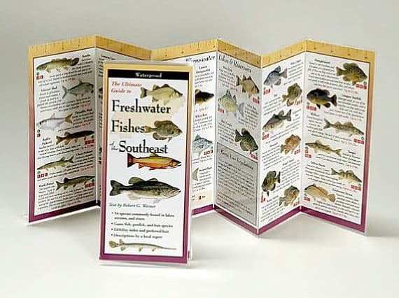 Freshwater Fishes of the Southeast by Eric Brazer