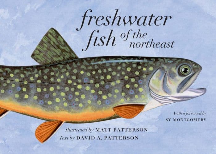 Freshwater Fish of the Northeast by David A. Patterson