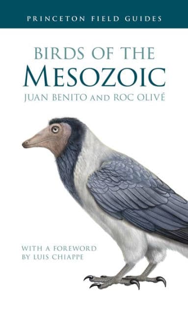 Birds of the Mesozoic by Juan Benito