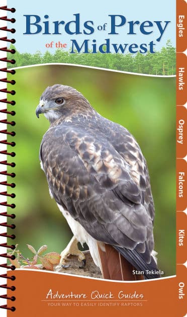 Birds of Prey of the Midwest: Your Way to Easily Identify Raptors by Stan Tekiela