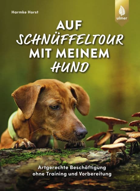 Auf Schnüffeltour mit meinem Hund: Artgerechte Beschäftigung ohne Training und Vorbereitung. Faszination Hundenase: was sie (riechen) kann und wie das den Hund auslastet by Harmke Horst