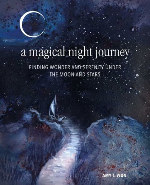 A Magical Night Journey: Finding wonder and serenity under the moon and stars by Amy T Won