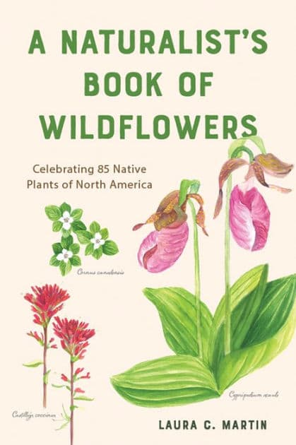 A Naturalist's Book of Wildflowers: Celebrating 85 Native Plants in North America by Laura C. Martin
