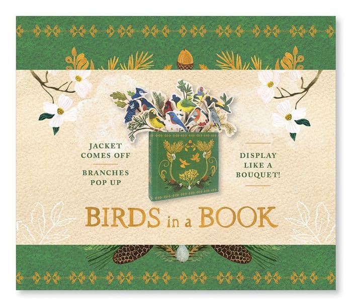 Birds in a Book (UpLifting Editions): Jacket Comes Off. Branches Pop Up. Display Like a Bouquet! by Lesley Earle