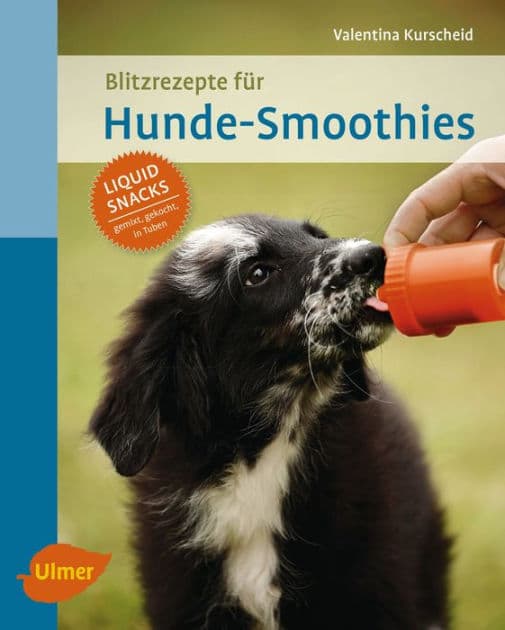 Blitzrezepte für Hunde-Smoothies: Liquid Snacks - gemixt, gekocht, in Tuben by Valentina Kurscheid