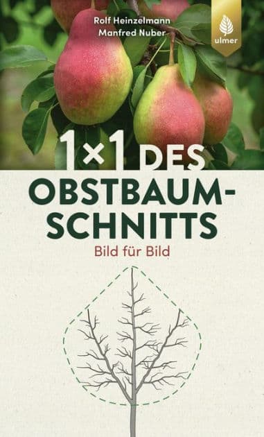 1 x 1 des Obstbaumschnitts: Bild für Bild by Rolf Heinzelmann