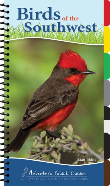 Birds of the Southwest Quick Guide by Stan Tekiela