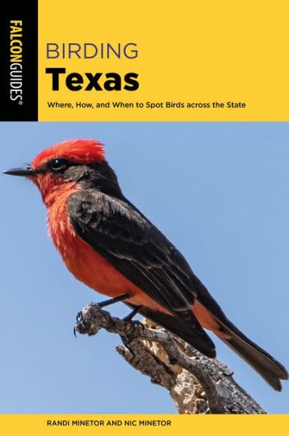 Birding Texas by Randi Minetor