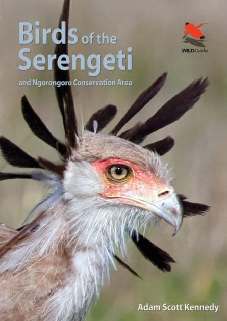 Birds of the Serengeti: And Ngorongoro Conservation Area by Adam Scott Kennedy