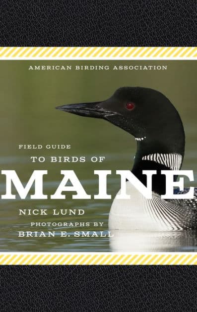 American Birding Association Field Guide to Birds of Maine by Nick Lund