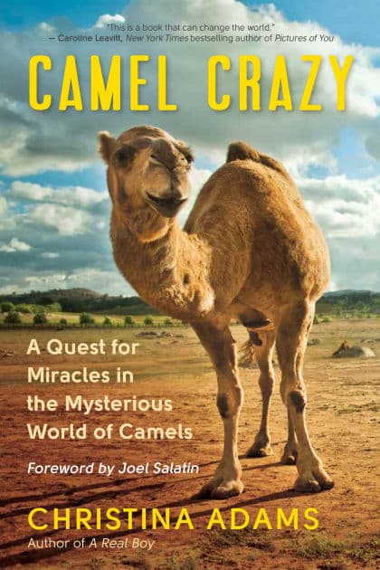 Camel Crazy: A Quest for Miracles in the Mysterious World of Camels by Christina Adams