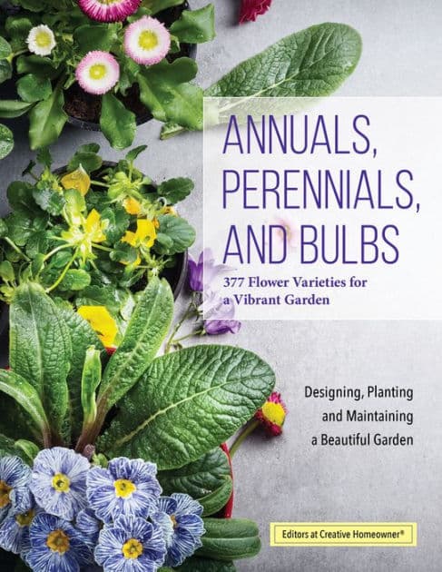 Annuals, Perennials, and Bulbs: 377 Flower Varieties for a Vibrant Garden by Creative Homeowner