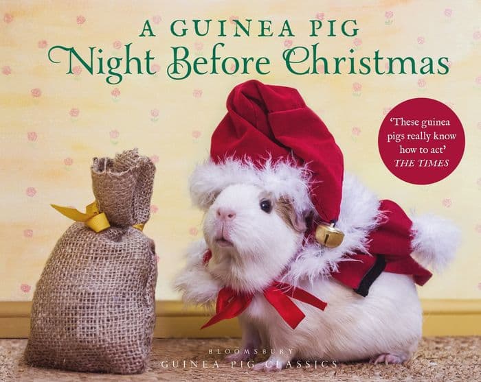 A Guinea Pig Night Before Christmas by Clement Clarke Moore