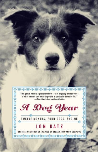 A Dog Year: Twelve Months, Four Dogs, and Me by Jon Katz