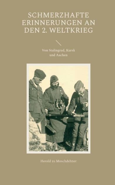 Schmerzhafte Erinnerungen an den 2. Weltkrieg: Von Stalingrad, Kursk und Aachen by Herold Zu Moschdehner