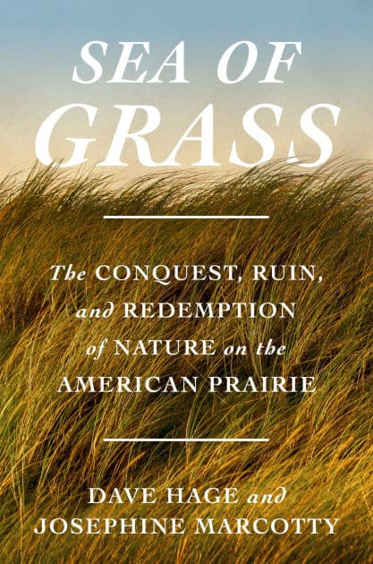Sea of Grass: The Conquest, Ruin, and Redemption of Nature on the American Prairie by Dave Hage