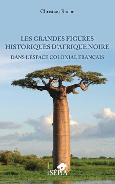 Les grandes figures historiques d'Afrique noire: Dans l'espace colonial français by Christian Roche
