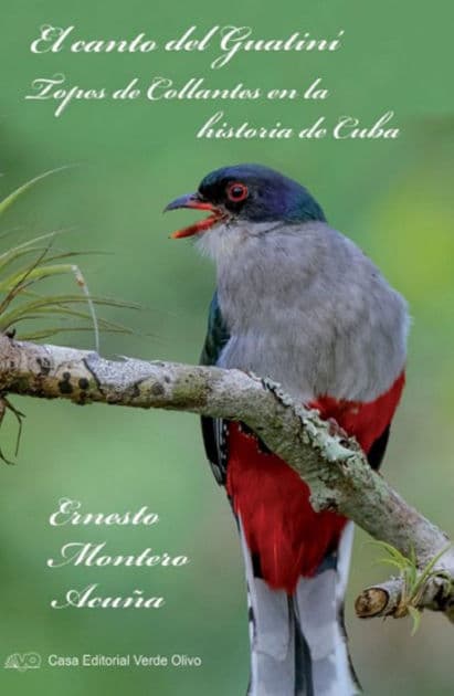 El canto del Guatiní. Topes de Collantes en la historia de Cuba by Ernesto Montero Acuña