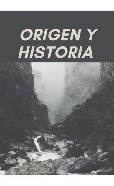 Origen y Historia by Almeida Botelho