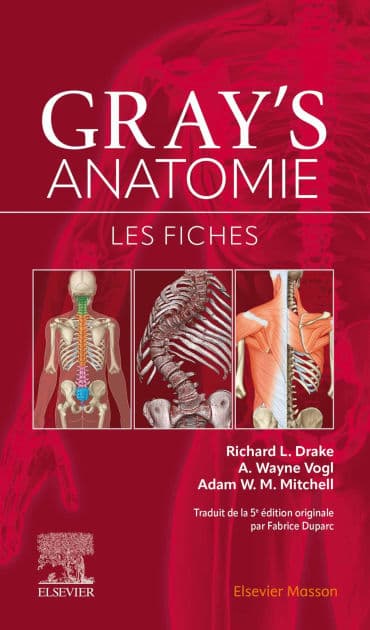 Gray's Anatomie - Les fiches by Richard L. Drake