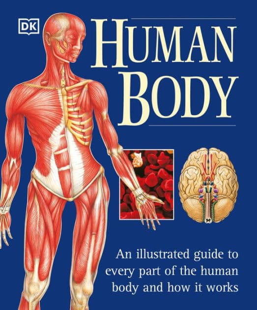 The Human Body: An Illustrated Guide to Every Part of the Human Body and How It Works by Martyn Page