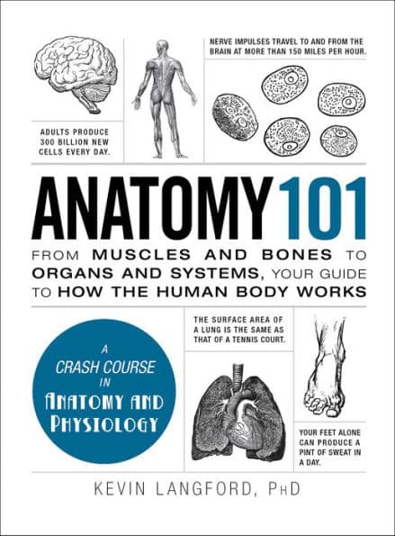 Anatomy 101: From Muscles and Bones to Organs and Systems, Your Guide to How the Human Body Works by Kevin Langford