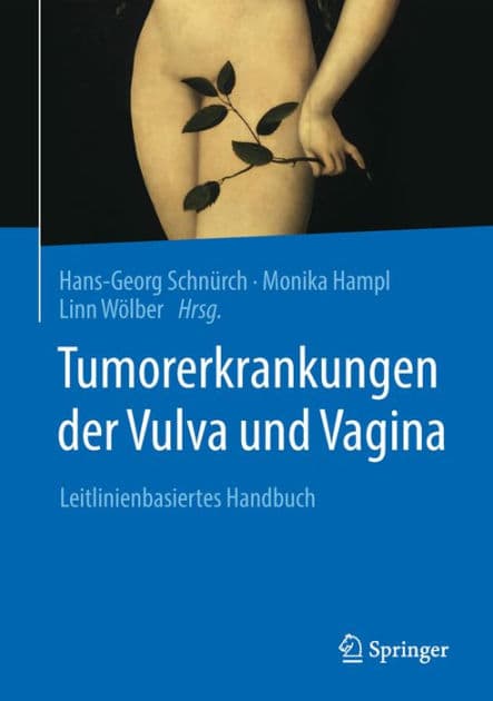 Tumorerkrankungen der Vulva und Vagina: Leitlinienbasiertes Handbuch by Hans-Georg Schnïrch