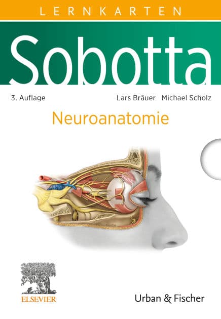 Sobotta Lernkarten Neuroanatomie: Neuroanatomie by Lars Bräuer