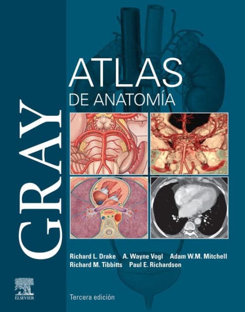 Gray. Atlas de Anatomía by Richard L. Drake