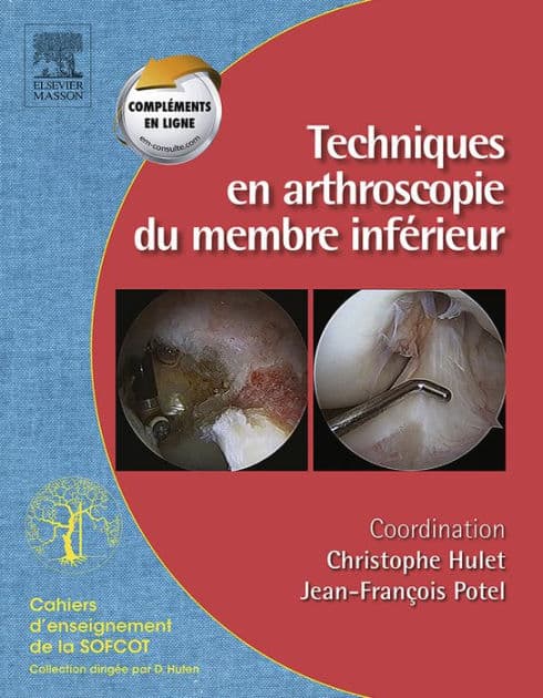 Techniques en arthroscopie du membre inférieur: Monographie SOFCOT by Christophe Hulet