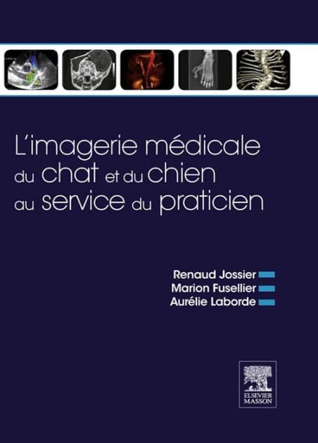 L'imagerie médicale du chat et du chien au service du praticien: Symptômes - Diagnostics - Thérapeutique by Renaud Jossier