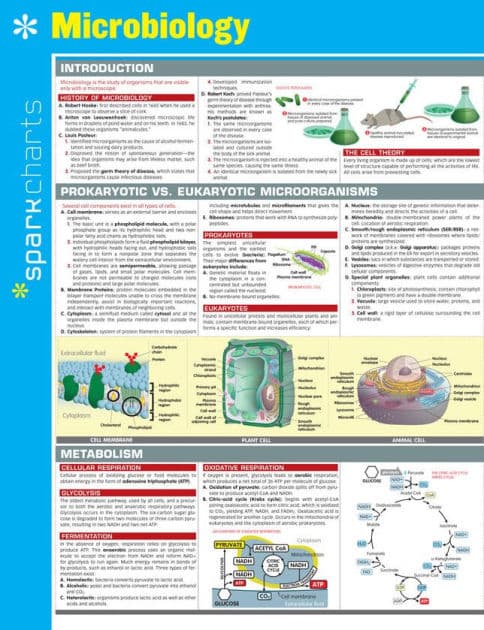 Microbiology SparkCharts by SparkNotes