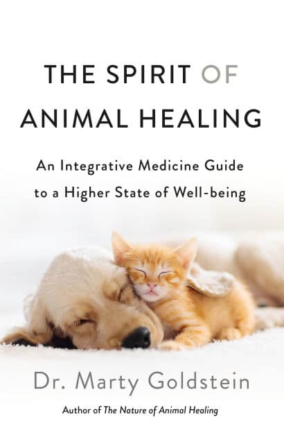 The Spirit of Animal Healing: An Integrative Medicine Guide to a Higher State of Well-being by Marty Goldstein