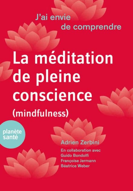 J'ai envie de comprendre.La méditation de pleine conscience (mindfulness) by Guido Bondolfi
