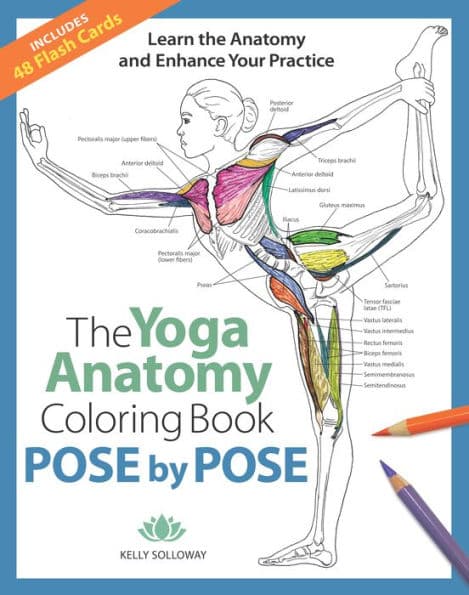 The Yoga Anatomy Coloring Book: Pose by Pose: Learn the Anatomy and Enhance Your Practice - An Educational Anatomy Coloring Book for Yoga Teachers, Medical Students, & Adults (Volume 2) by Kelly Solloway