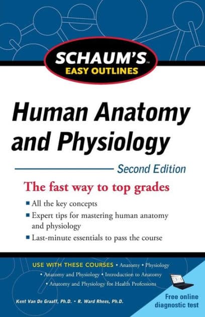 Schaum's Easy Outline of Human Anatomy and Physiology by R. Ward Rhees