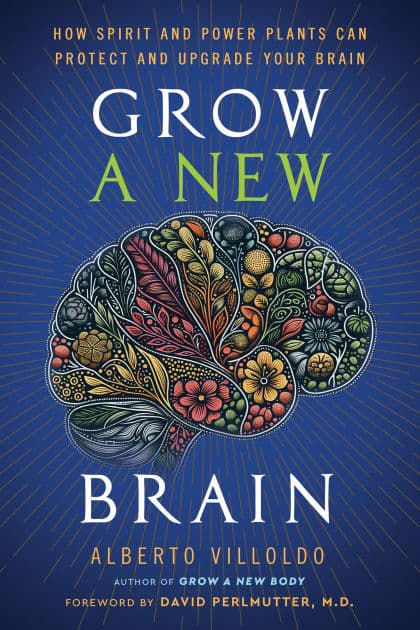 Grow a New Brain: How Spirit and Power Plants Can Protect and Upgrade Your Brain by Alberto Villoldo