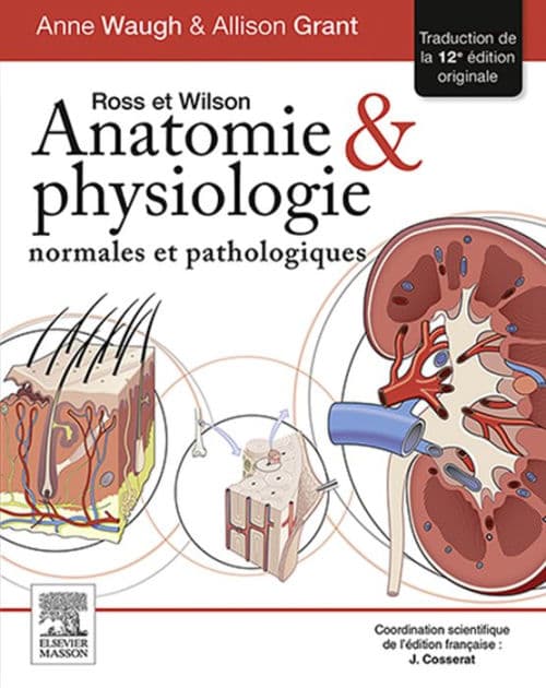 Ross et Wilson. Anatomie et physiologie normales et pathologiques by Anne Waugh MSc CertEd SRN RNT FHEA