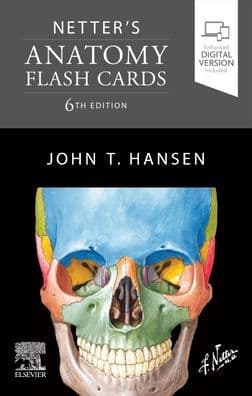 Netter's Anatomy Flash Cards by John T. Hansen PhD