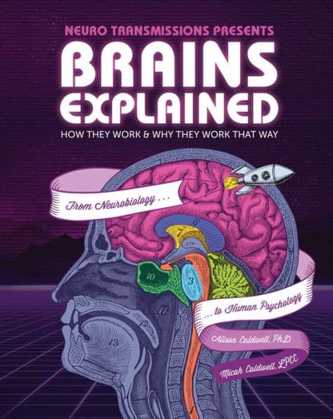 Brains Explained: How They Work & Why They Work That Way STEM Learning about the Human Brain Fun and Educational Facts about Human Body by Alison Caldwell PhD