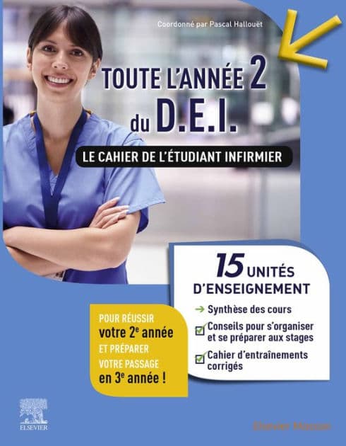 Toute l'année 2 du DEI Le cahier de l'étudiant infirmier: 15 UE : Synthèse des cours + Conseils pour s'organiser et se préparer aux stages + Cahier d'entraînements corrigés by Pascal Hallouët