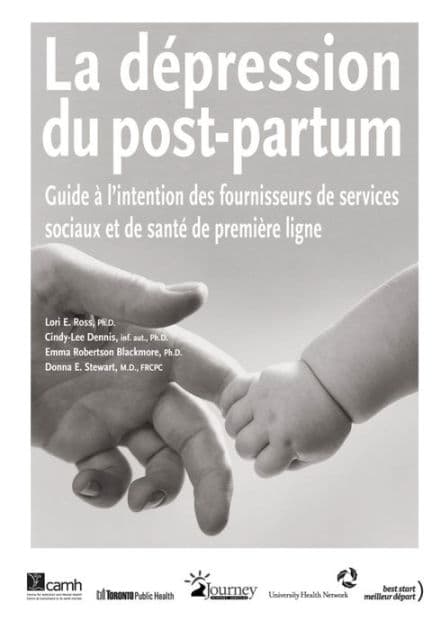 La dépression du post-partum: Guide à l'intention des fournisseurs de services sociaux et de santé de première ligne by Lori E. Ross