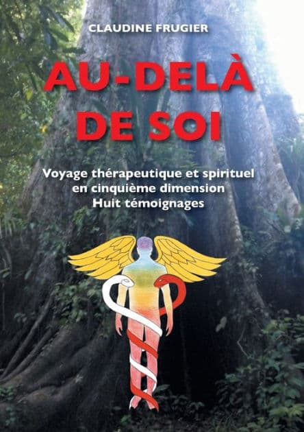 Au-delï¿½ de Soi: Voyage thï¿½rapeutique et spirituel en cinquiï¿½me dimension Huit tï¿½moignages sur la mï¿½decine de l'Ayahuasca en Amazonie chez les Indiens Shipibos-Conibos by Bod Books on Demand