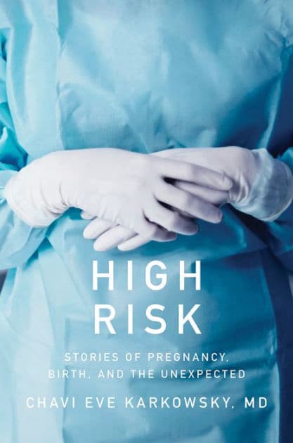 High Risk: Stories of Pregnancy, Birth, and the Unexpected by Chavi Eve Karkowsky MD