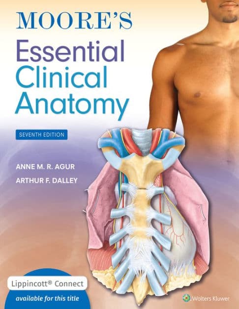 Moore's Essential Clinical Anatomy by Anne M.R. Agur BSc (OT)